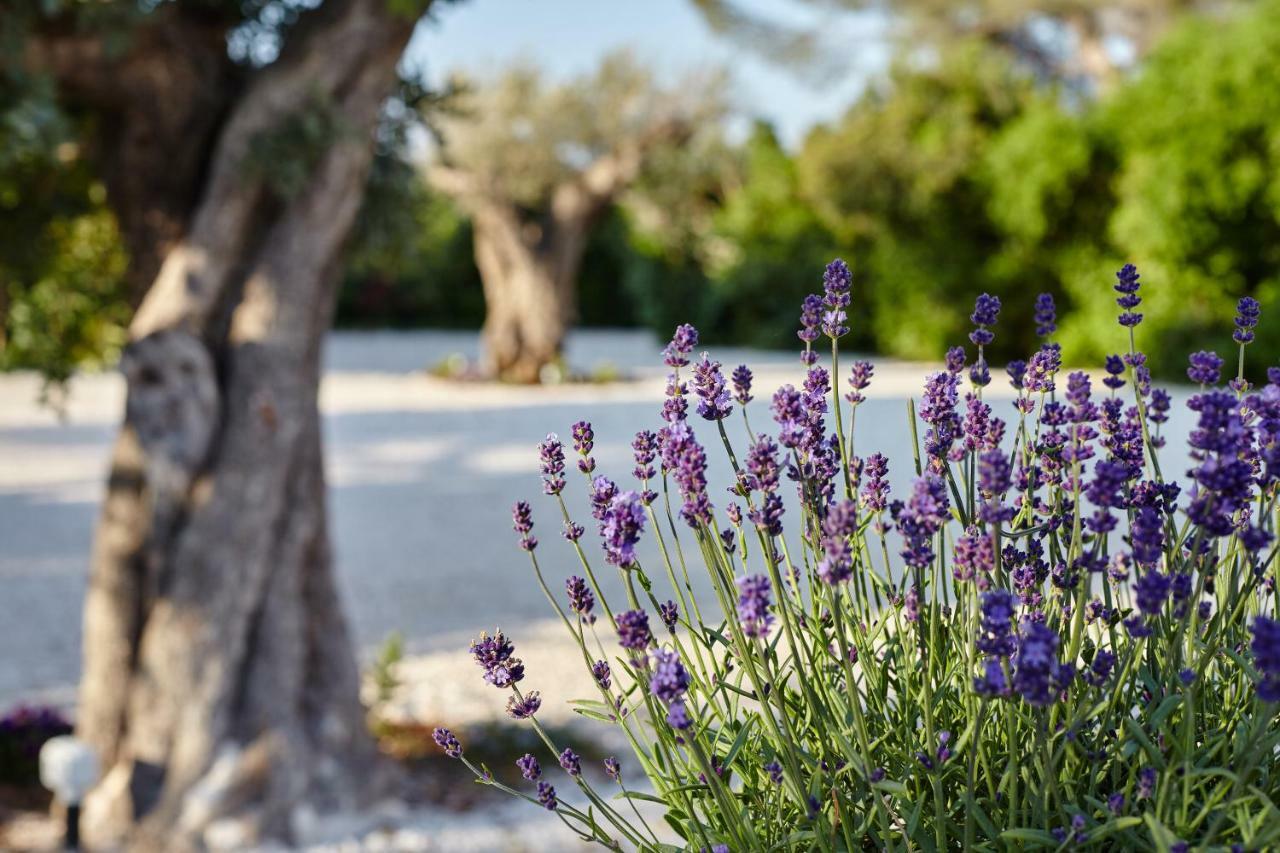 לינה וארוחת בוקר קונברסאנו Agapanto Masseria מראה חיצוני תמונה